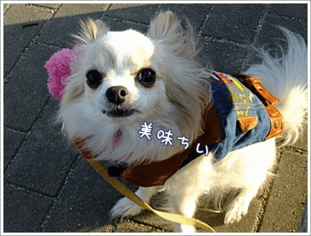 ください