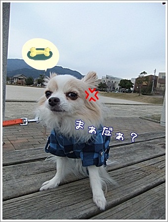 まだぁ?