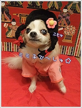 ミミ子でしゅ