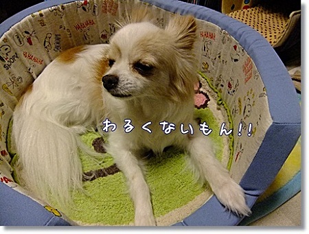 わるくない