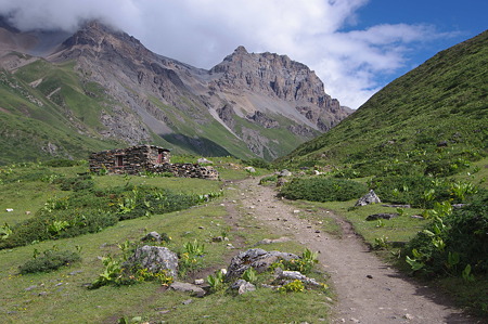 IMGP8942