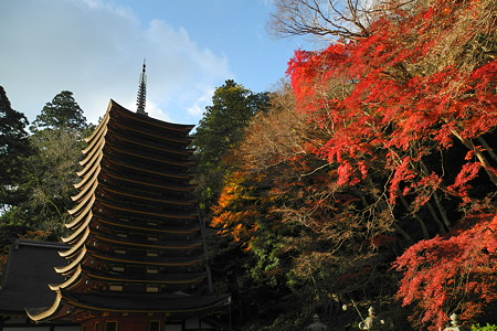 談山神社の紅葉-2