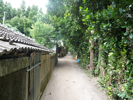 20120428 (6)