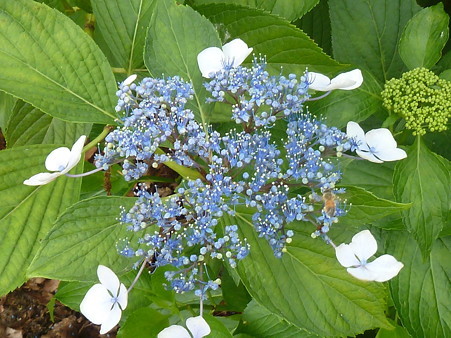 20120617_