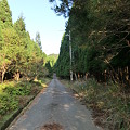 暁晴山の登山道