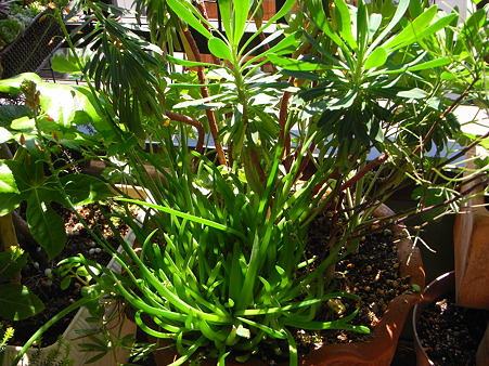 R0012299