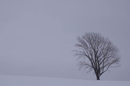 20111225_113036_0