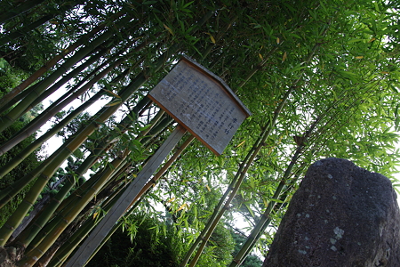 20110809_072546