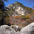 2006/11/25 昇仙峡の紅葉