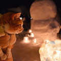2014年木曽路氷雪の灯り祭り